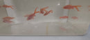 4 BEAUTIFUL ALBINO LONG FIN CHERRY BARB UNSEXED (Puntius titteya)