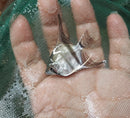 2 GREEN BULGARIAN QUARTER BODY SIZE UNSEXED (Pterophyllum scalare)