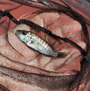 ELECTRIC BLUE AHLI 2 INCHES UNSEXED (Sciaenochromis sp)