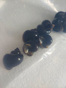 3 PACK BLACK/BROWN MISTERY SNAILS M (Pomacea difussa)