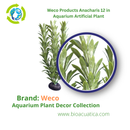 Weco Products Anacharis 12 in- Aquarium Artificial Plant