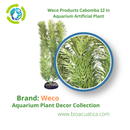 Weco Products Cabomba 12 in - Aquarium Artificial Plant