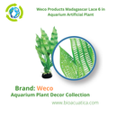 Weco Products Madagascar Lace 6 in - Aquarium Artificial Plant