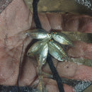 GREAT 5 DIAMOND TETRA UNSEXED