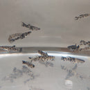 3 GAMBUSIA MELANISTIC DALMATIAN ONE MALE TWO FEMALES