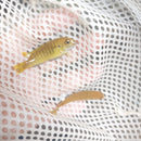 STUPENDOUS GOLD TROPHEOPS  2"