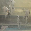 GREAT PLATINUM PANDA ANGELFISH SILVER DOLLAR BODY SIZE (Pterophyllum scalare)