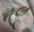 THE YELLOW MOJARRA 1.75 TO 2 INCHES UNSEXED (Caquetaia kraussii)